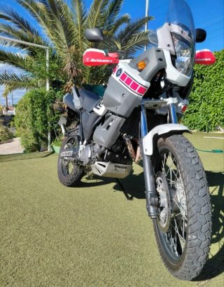 Yamaha XT660Z Tenere 2009