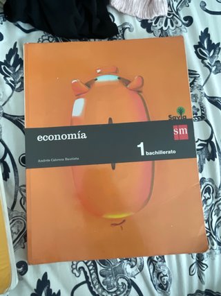 Economía, 1 Bachillerato