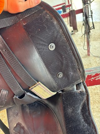 Montura Royal con tacos ajustables