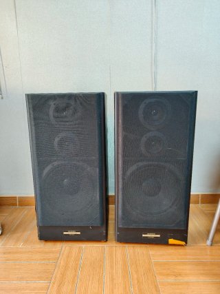 Altavoces Pioneer Negros