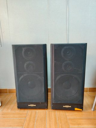Altavoces Pioneer Negros