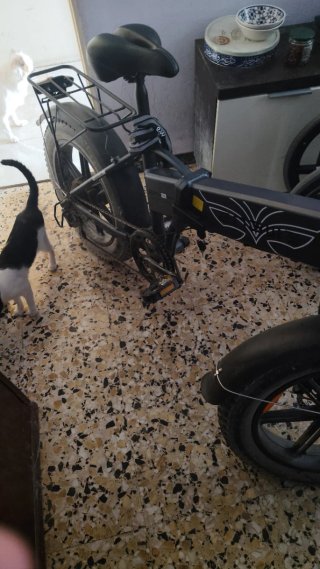 Bicicleta Eléctrica ENWUE