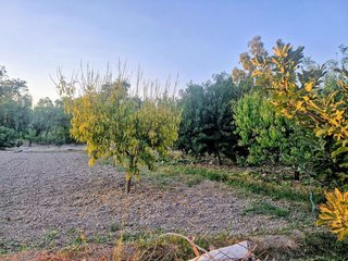 Terreno en venta en Renfe - Bulevar 1º y 2º Fase en Jaén