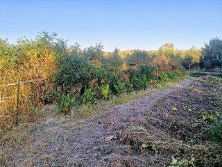 Terreno en venta en Renfe - Bulevar 1º y 2º Fase en Jaén