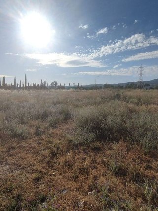 Terreno en venta en El Higuerón en Córdoba