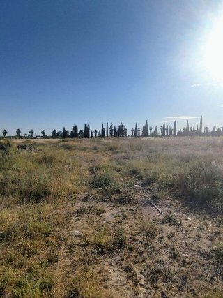 Terreno en venta en El Higuerón en Córdoba