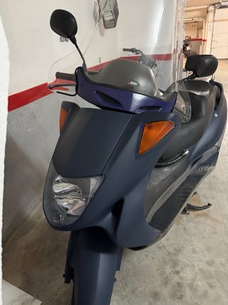 Honda Scooter Azul/Gris