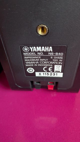Pareja de Altavoces Yamaha NS290
