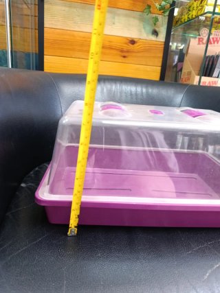 Mini invernadero para plantas