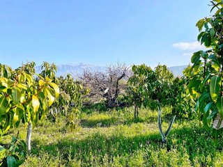 Casa rural en venta en Norte - Barrio del Pilar - El Reñidero en Vélez-Málaga