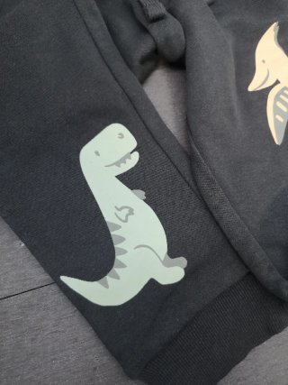 Pantalón de Chándal Dinos 4-6 Años (más tallas)