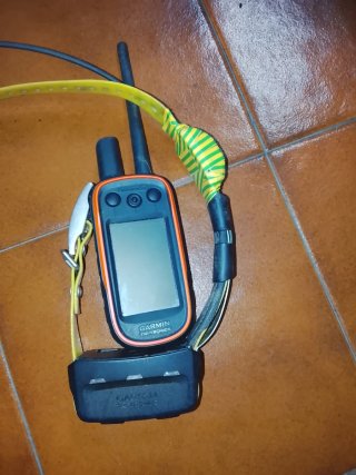 Mando Garmin Alpha 100 y Collar T5