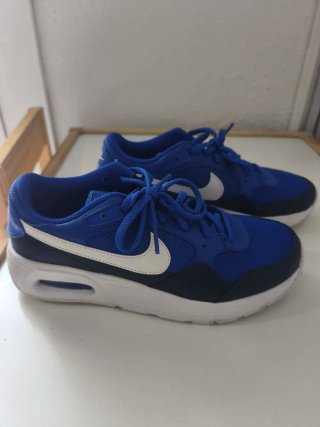 Zapatillas Nike Dunk Low Azul y Blanco  75€ los 3
