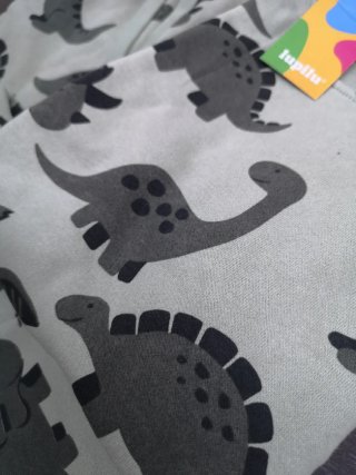 Chándal Lupilu Dinosaurios Tallas de 2 a 8 años