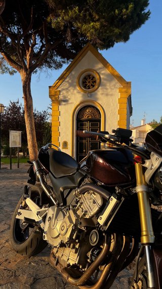 Honda CB600F 2005