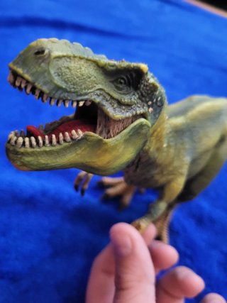 Pack de 12 dinosaurios de juguete – diferentes tam