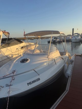 Barco intraborda 4.3 235cv
