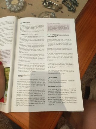 El joc infantil i la seva metodologia