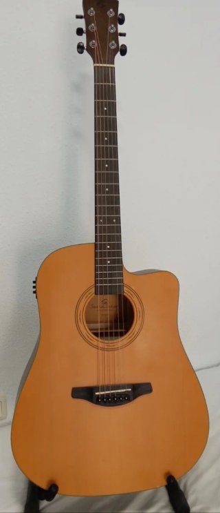 Guitarra Acústica electrónica