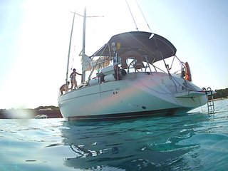 Velero de crucero/regata