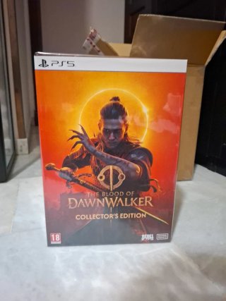 The Blood Of Dawnwalker Collector's Edition PS5