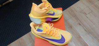 Zapatillas Nike Zoom Fly 6