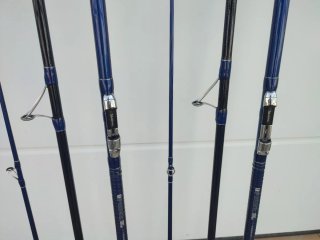 2 Cañas de Pesca Surfcasting Daiwa