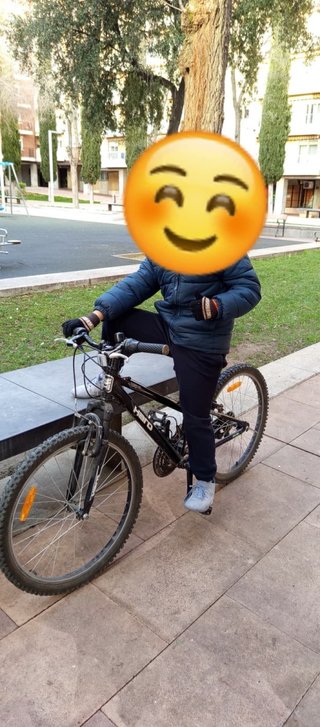 Bicicleta Rin 24