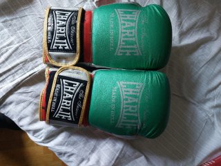 Guantes de Boxeo Charlie Verdes y Plateados