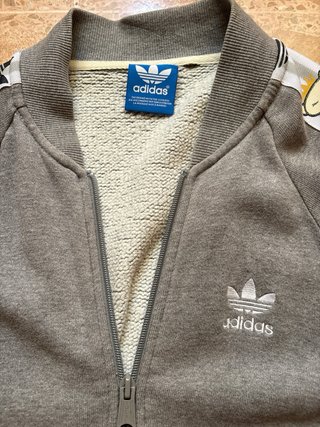 Chaqueta Adidas NIGO Bear Collaboration Gris
