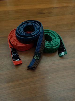 Lote de 3 Cinturones de Taekwondo+ Protecciónes