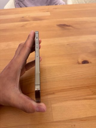 iPhone 13 Pro Max 128GB Gris + Fundas