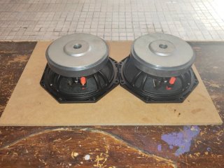 Medios 8" 350 RMS MS Audio
