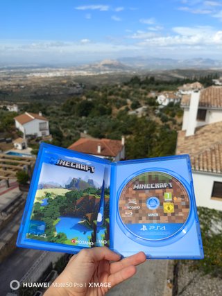 MINECRAFT PS4