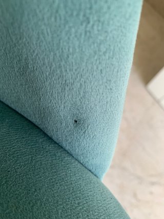 Juego de 4 Sillas Comedor Terciopelo Teal