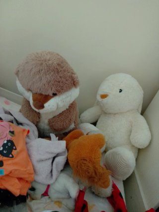 Peluche Gigante 70 cm
