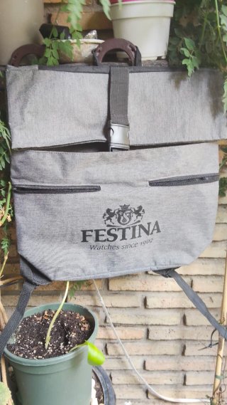 Macuto Festina Gris