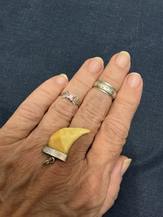 Anillos Plata Diente engarzado en Plata