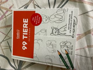 Libro para aprender a dibujar