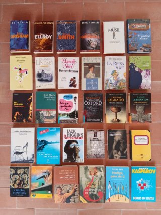 LOTE DE 30 LIBROS