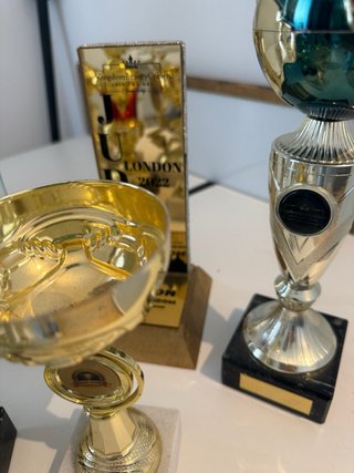 Lote de 10 Trofeos Decorativos