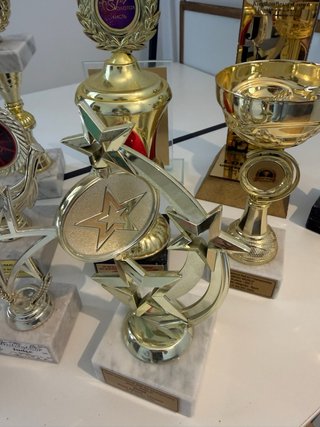 Lote de 10 Trofeos Decorativos