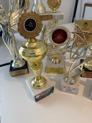 Lote de 10 Trofeos Decorativos