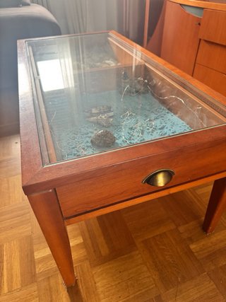Mesa de centro con vitrina