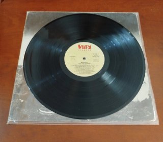 MADNESS vinilo The Rise & Fall