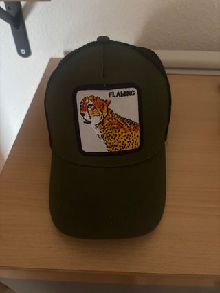Gorra Goorin Bros Flaming Cheetah