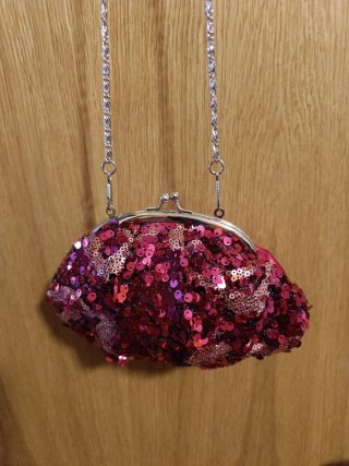 Bolso Cartera con Lentejuelas