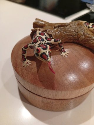 Caja de madera con lagarto decorativo