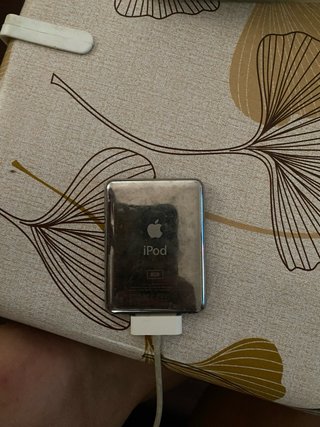 Apple iPod Negro