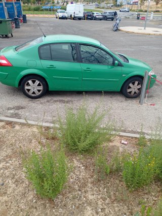 Renault Megane 2005